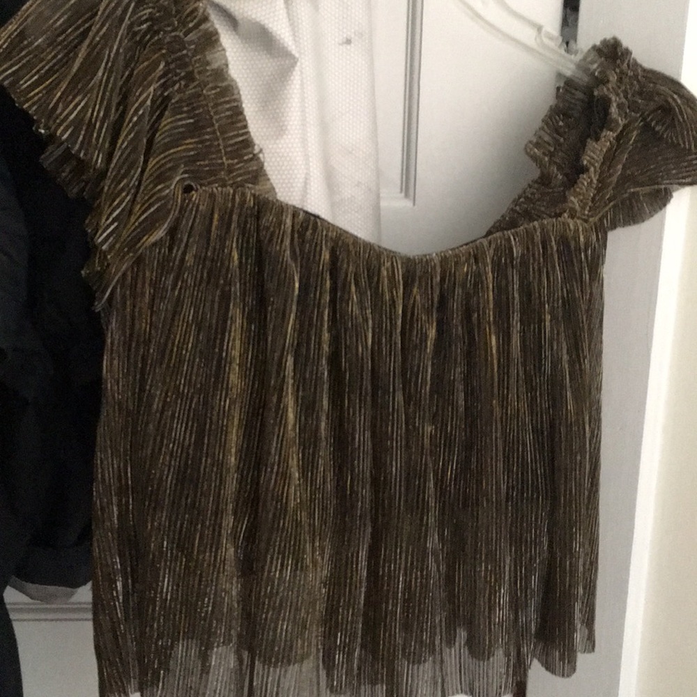 Off the shoulder barely cropped glitter top
